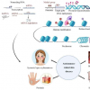 研究称表观遗传学在自身免疫相关皮肤病中至关重要