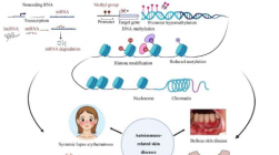 研究称表观遗传学在自身免疫相关皮肤病中至关重要