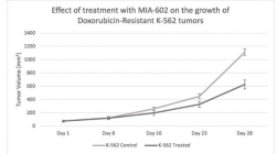 探索 MIA-602 在克服急性髓系白血病阿霉素耐药性中的作用