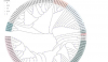 探索 MicroRNA156 在园艺植物中的多方面作用