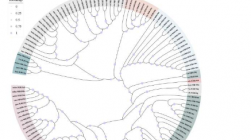 探索 MicroRNA156 在园艺植物中的多方面作用