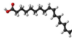 科学家研究 omega-3 与成年早期精神病症状之间的关联