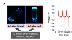 研究人员为可穿戴传感器创建基于凝胶驻极体的发电装置