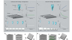 研究人员开发出具有可控梯度多孔结构的新型 3D 打印策略