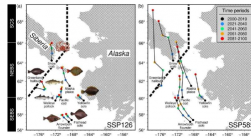 气候变化可能导致太平洋北极重要渔业发生变化