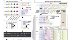 机器学习或能带来更好的流感疫苗