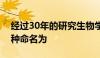 经过30年的研究生物学家将新的深海鲨鱼物种命名为