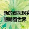 新的虚拟现实工具允许您通过小灵长类动物的眼睛看世界