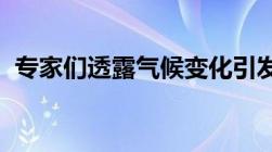 专家们透露气候变化引发的云温度已经缓和