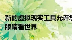 新的虚拟现实工具允许您通过小灵长类动物的眼睛看世界