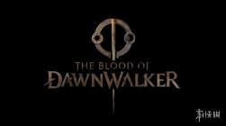 巫师3前总监新作The Blood of Dawnwalker明年揭晓